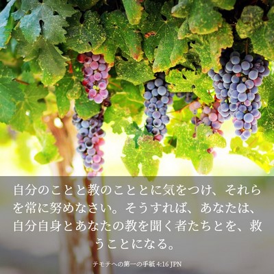 Picture 03 - テモテヘの第一の手紙 4:16 JPN - 自分のことと教のこととに気をつけ - Bible Verse Picture