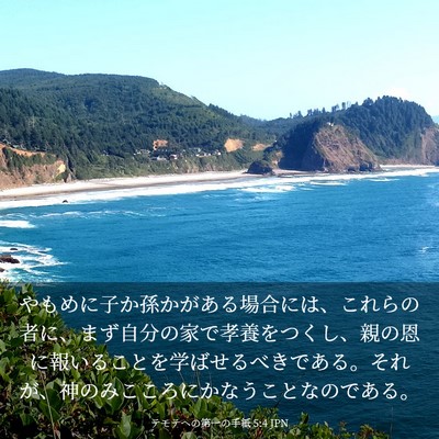 Picture 03 - テモテヘの第一の手紙 5:4 JPN - やもめに子か孫かがある場合には、 - Bible Verse Picture