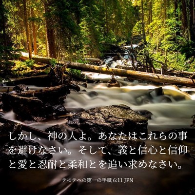 Picture 03 - テモテヘの第一の手紙 6:11 JPN - しかし、神の人よ。あなたはこれら - Bible Verse Picture