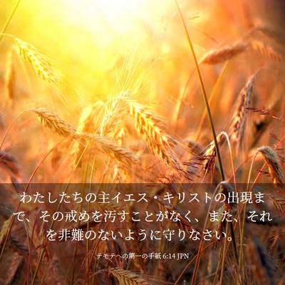 Picture 03 - テモテヘの第一の手紙 6:14 JPN - わたしたちの主イエス・キリストの - Bible Verse Picture