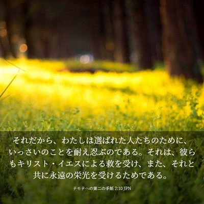 Picture 03 - テモテヘの第二の手紙 2:10 JPN - それだから、わたしは選ばれた人た - Bible Verse Picture