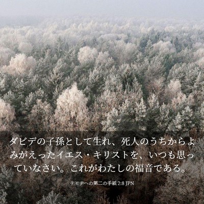 Picture 03 - テモテヘの第二の手紙 2:8 JPN - ダビデの子孫として生れ、死人のう - Bible Verse Picture