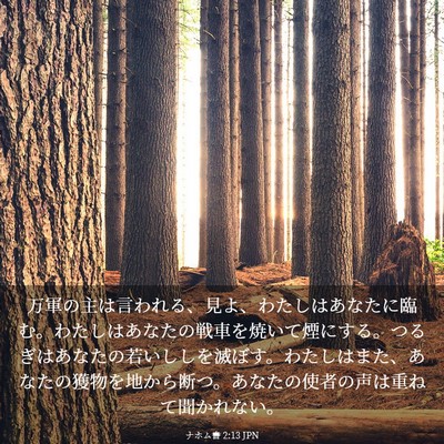 Picture 03 - ナホム書 2:13 JPN - 万軍の主は言われる、見よ、わたし - Bible Verse Picture