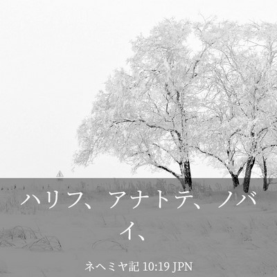 Picture 03 - ネヘミヤ記 10:19 JPN - ハリフ、アナトテ、ノバイ、 - Bible Verse Picture