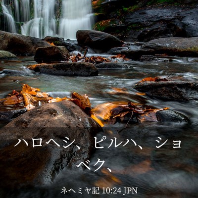 Picture 03 - ネヘミヤ記 10:24 JPN - ハロヘシ、ピルハ、ショベク、 - Bible Verse Picture