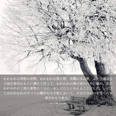 Picture 03 - ネヘミヤ記 10:37 JPN - われわれの麦粉の初物、われわれの - Bible Verse Picture