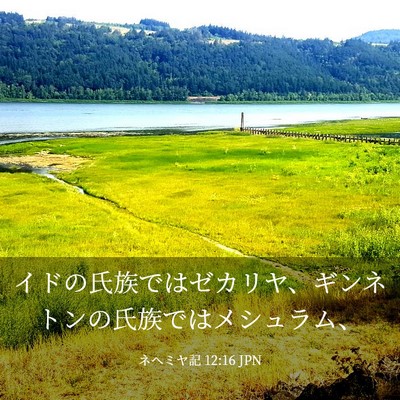 Picture 03 - ネヘミヤ記 12:16 JPN - イドの氏族ではゼカリヤ、ギンネト - Bible Verse Picture