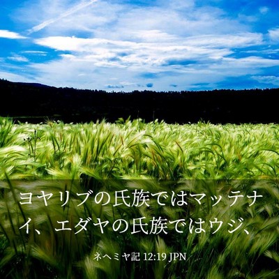 Picture 03 - ネヘミヤ記 12:19 JPN - ヨヤリブの氏族ではマッテナイ、エ - Bible Verse Picture