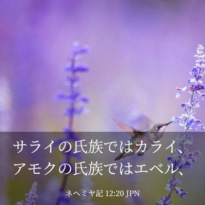 Picture 03 - ネヘミヤ記 12:20 JPN - サライの氏族ではカライ、アモクの - Bible Verse Picture