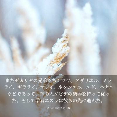 Picture 03 - ネヘミヤ記 12:36 JPN - またゼカリヤの兄弟たちシマヤ、ア - Bible Verse Picture