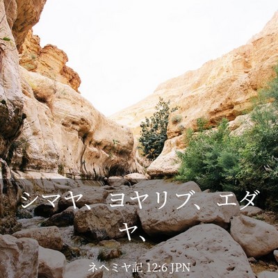 Picture 03 - ネヘミヤ記 12:6 JPN - シマヤ、ヨヤリブ、エダヤ、 - Bible Verse Picture