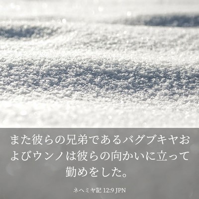 Picture 03 - ネヘミヤ記 12:9 JPN - また彼らの兄弟であるバグブキヤお - Bible Verse Picture