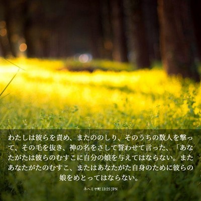 Picture 03 - ネヘミヤ記 13:25 JPN - わたしは彼らを責め、またののしり - Bible Verse Picture