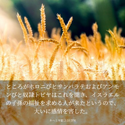 Picture 03 - ネヘミヤ記 2:10 JPN - ところがホロニびとサンバラテおよ - Bible Verse Picture