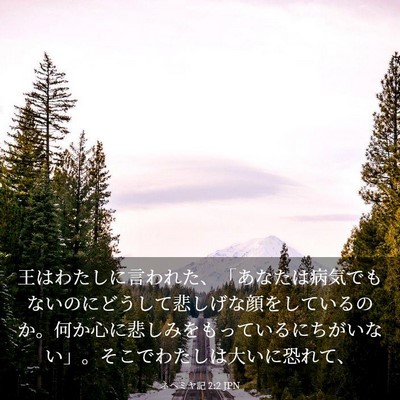 Picture 03 - ネヘミヤ記 2:2 JPN - 王はわたしに言われた、「あなたは - Bible Verse Picture