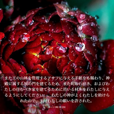 Picture 03 - ネヘミヤ記 2:8 JPN - また王の山林を管理するアサフに与 - Bible Verse Picture