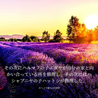 Picture 03 - ネヘミヤ記 3:10 JPN - その次にハルマフの子エダヤが自分 - Bible Verse Picture