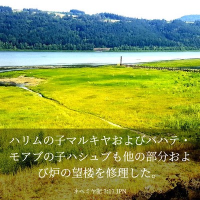 Picture 03 - ネヘミヤ記 3:11 JPN - ハリムの子マルキヤおよびバハテ・ - Bible Verse Picture
