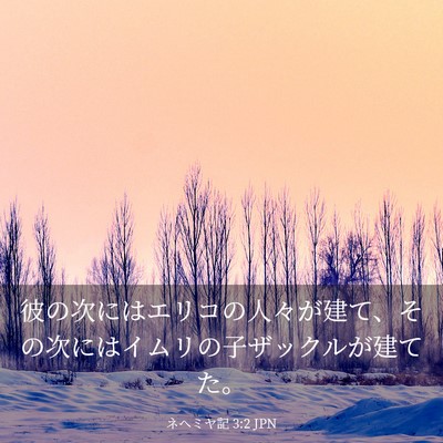 Picture 03 - ネヘミヤ記 3:2 JPN - 彼の次にはエリコの人々が建て、そ - Bible Verse Picture