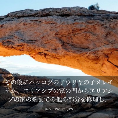 Picture 03 - ネヘミヤ記 3:21 JPN - その後にハッコヅの子ウリヤの子メ - Bible Verse Picture