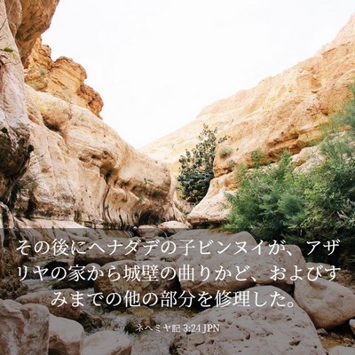 Picture 03 - ネヘミヤ記 3:24 JPN - その後にヘナダデの子ビンヌイが、 - Bible Verse Picture
