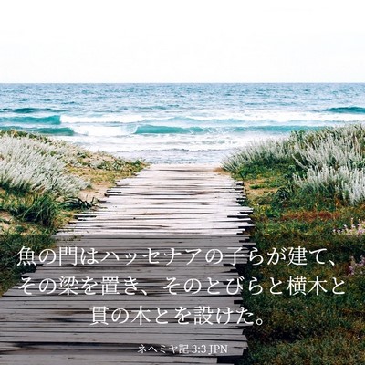 Picture 03 - ネヘミヤ記 3:3 JPN - 魚の門はハッセナアの子らが建て、 - Bible Verse Picture