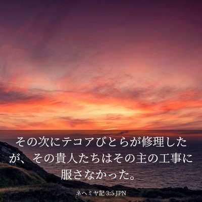 Picture 03 - ネヘミヤ記 3:5 JPN - その次にテコアびとらが修理したが - Bible Verse Picture