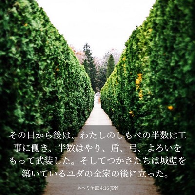 Picture 03 - ネヘミヤ記 4:16 JPN - その日から後は、わたしのしもべの - Bible Verse Picture