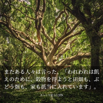 Picture 03 - ネヘミヤ記 5:3 JPN - またある人々は言った、「われわれ - Bible Verse Picture