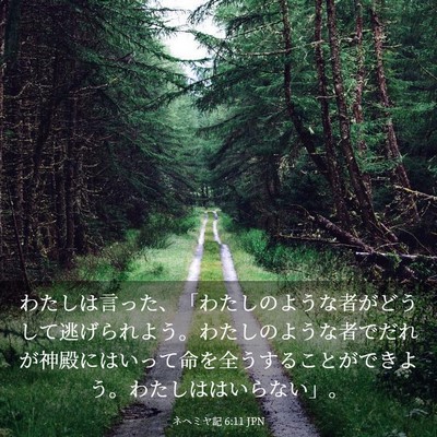 Picture 03 - ネヘミヤ記 6:11 JPN - わたしは言った、「わたしのような - Bible Verse Picture