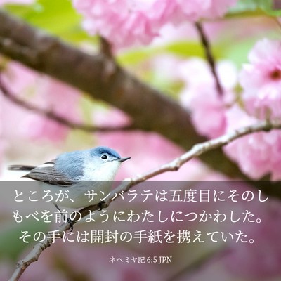 Picture 03 - ネヘミヤ記 6:5 JPN - ところが、サンバラテは五度目にそ - Bible Verse Picture