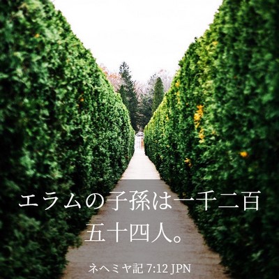 Picture 03 - ネヘミヤ記 7:12 JPN - エラムの子孫は一千二百五十四人。 - Bible Verse Picture