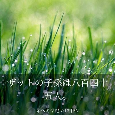 Picture 03 - ネヘミヤ記 7:13 JPN - ザットの子孫は八百四十五人。 - Bible Verse Picture