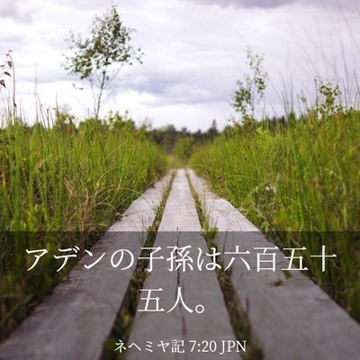 Picture 03 - ネヘミヤ記 7:20 JPN - アデンの子孫は六百五十五人。 - Bible Verse Picture