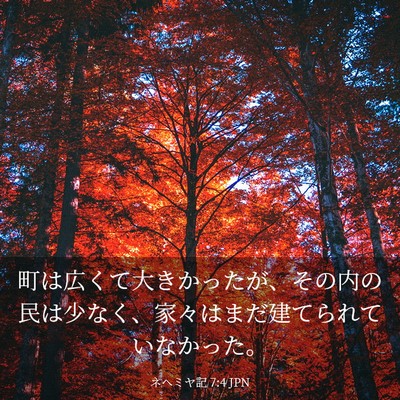 Picture 03 - ネヘミヤ記 7:4 JPN - 町は広くて大きかったが、その内の - Bible Verse Picture