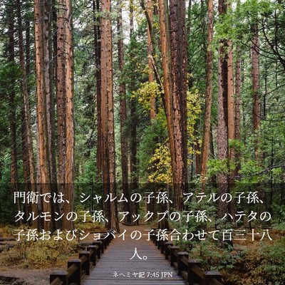 Picture 03 - ネヘミヤ記 7:45 JPN - 門衛では、シャルムの子孫、アテル - Bible Verse Picture
