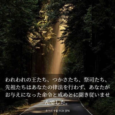 Picture 03 - ネヘミヤ記 9:34 JPN - われわれの王たち、つかさたち、祭 - Bible Verse Picture