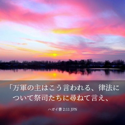 Picture 03 - ハガイ書 2:11 JPN - 「万軍の主はこう言われる、律法に - Bible Verse Picture