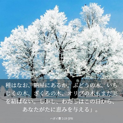 Picture 03 - ハガイ書 2:19 JPN - 種はなお、納屋にあるか。ぶどうの - Bible Verse Picture