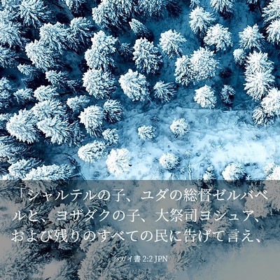 Picture 03 - ハガイ書 2:2 JPN - 「シャルテルの子、ユダの総督ゼル - Bible Verse Picture