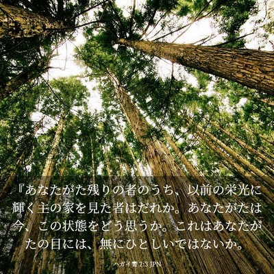 Picture 03 - ハガイ書 2:3 JPN - 『あなたがた残りの者のうち、以前 - Bible Verse Picture