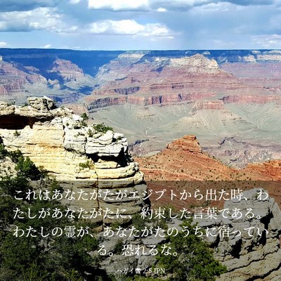 Picture 03 - ハガイ書 2:5 JPN - これはあなたがたがエジプトから出 - Bible Verse Picture