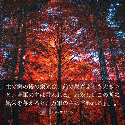 Picture 03 - ハガイ書 2:9 JPN - 主の家の後の栄光は、前の栄光より - Bible Verse Picture