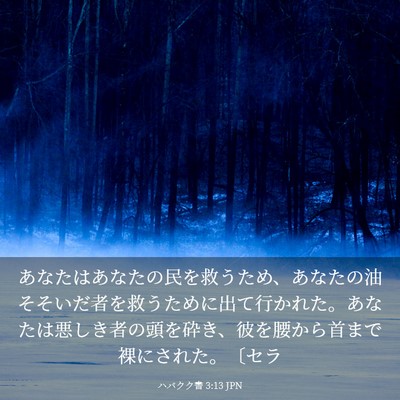 Picture 03 - ハバクク書 3:13 JPN - あなたはあなたの民を救うため、あ - Bible Verse Picture