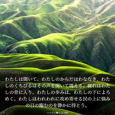 Picture 03 - ハバクク書 3:16 JPN - わたしは聞いて、わたしのからだは - Bible Verse Picture