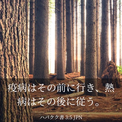 Picture 03 - ハバクク書 3:5 JPN - 疫病はその前に行き、熱病はその後 - Bible Verse Picture