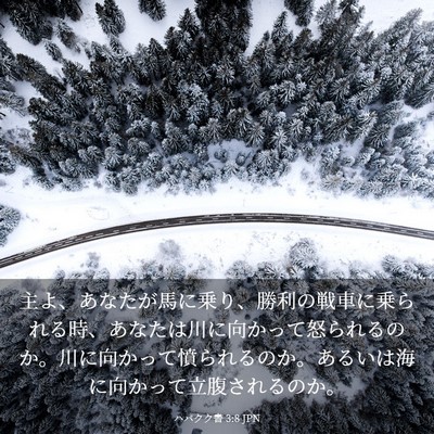 Picture 03 - ハバクク書 3:8 JPN - 主よ、あなたが馬に乗り、勝利の戦 - Bible Verse Picture