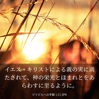 Picture 03 - ピリピ人への手紙 1:11 JPN - イエス・キリストによる義の実に満 - Bible Verse Picture