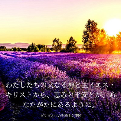 Picture 03 - ピリピ人への手紙 1:2 JPN - わたしたちの父なる神と主イエス・ - Bible Verse Picture