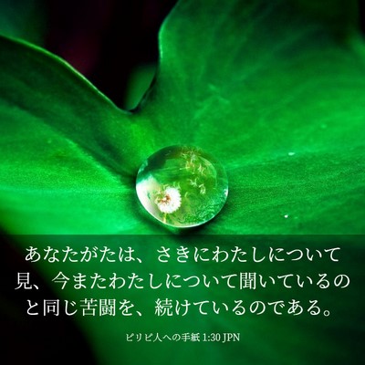 Picture 03 - ピリピ人への手紙 1:30 JPN - あなたがたは、さきにわたしについ - Bible Verse Picture